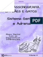 Ebook Reprodutor e Adrenal