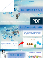 sintesis de la ATP