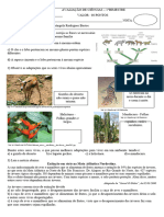 Avaliação de Ciências 7°ano° Classificação e adaptação dos seres vivos