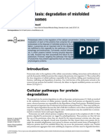 Misfolded Proteins