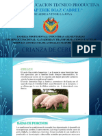 MODULO I 3 Porcinocultura 2021