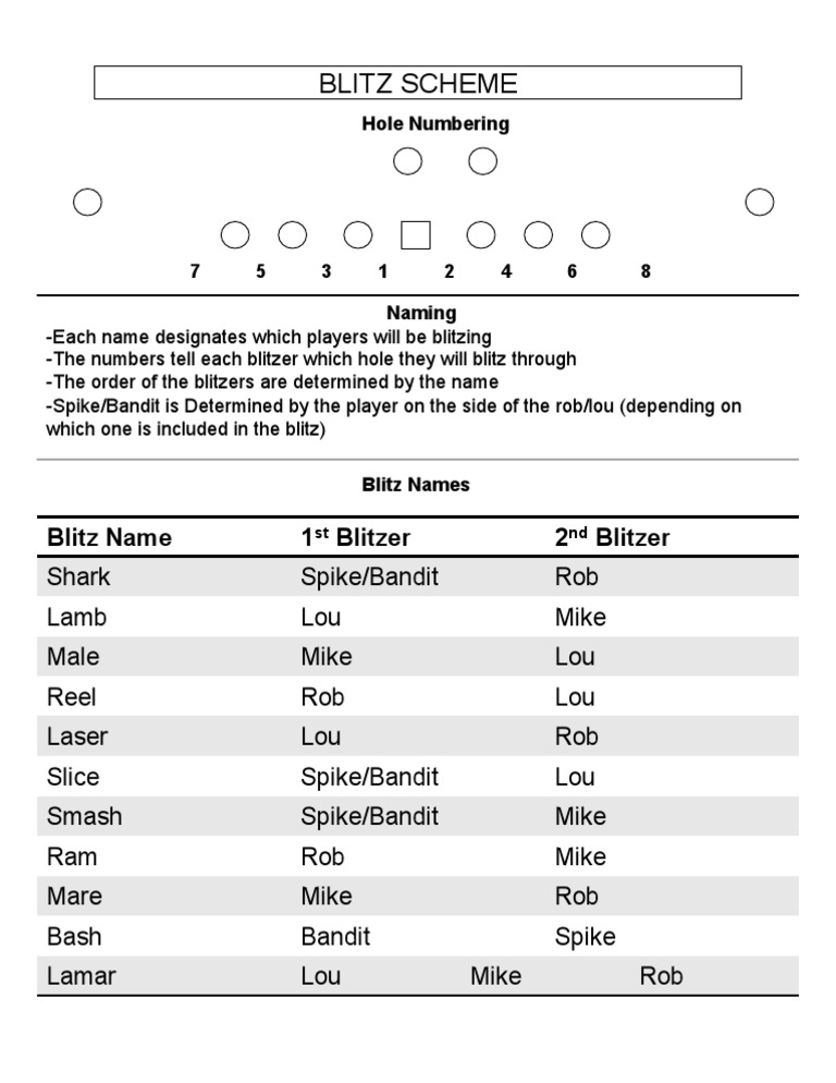 Blitz Scheme Player Coordination Guide | PDF