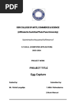 Egg Catcher Report | PDF | Python (Programming Language) | Learning