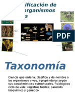 taxonomia2 - 1er grupo