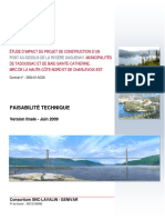 01 Rapport Complet Etude D'impact D'un Projet de Construction Du Pont