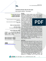 Lipidose Hepática Felina: Relato de Caso: Feline Hepatic Lipidosis - Case Report