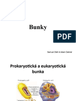 VCA11 T01a Prokaryoticka-Eukaryoticka-Bunka