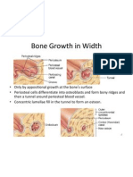 Skeletal System Part 2