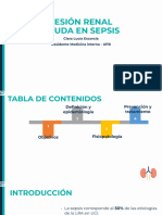 LESION_RENAL_AGUDA_2022.pptx