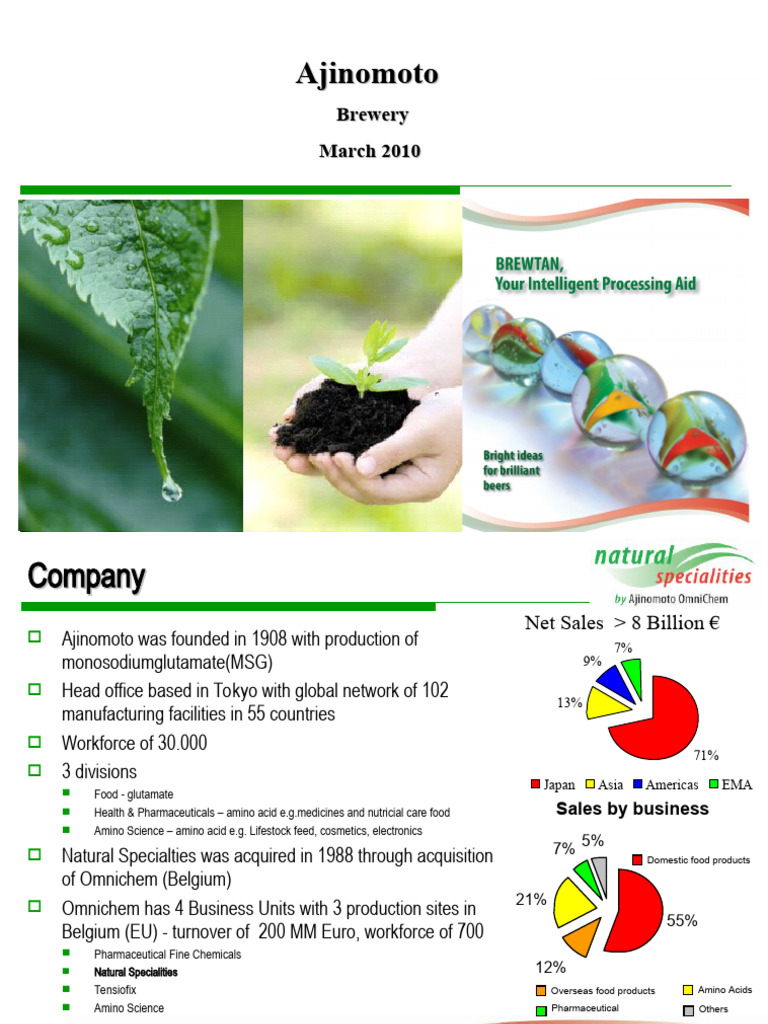 Ajinomoto | PDF