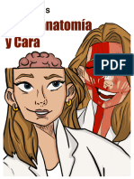 Sustancia P Esquemas - Neuro - y - Cara