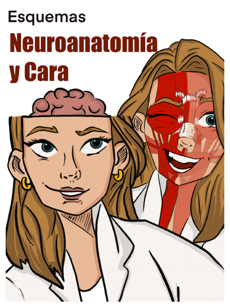 Sustancia p esquemas neuro y cara pdf otorrinolaringolog a