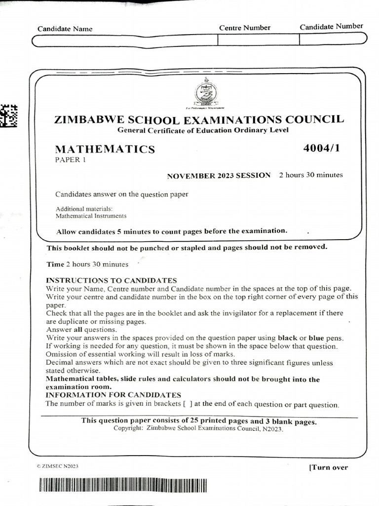 2013 MATHS N1 EXAMINATION PAPERS PDF visual data 8