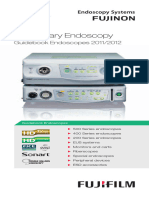 Visionary Endoscopy: Guidebook Endoscopes 2011/2012