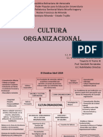 Cultura Organizacional