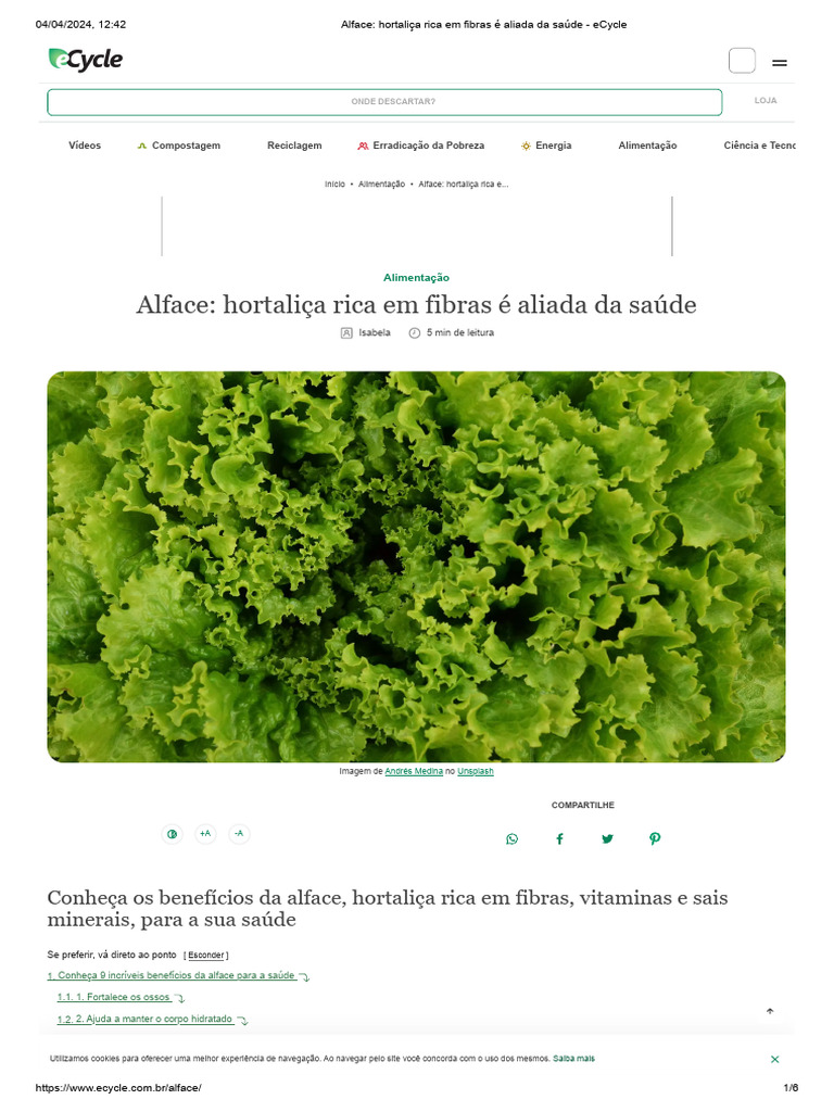 Alface - Hortaliça Rica em Fibras É Aliada Da Saúde - Ecycle | PDF ...