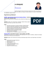 CV Belser Olivera - Desarrollador de Software