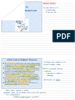 Chapter 14 (Citric Acid Cycle - Krebs Cycle) (1)