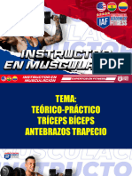 CLASE 6 TRICEPS BICEPS ANTEBRAZO TRAPECIO  - instructor