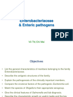 Enterobacteriaceae_2020 Nov_p