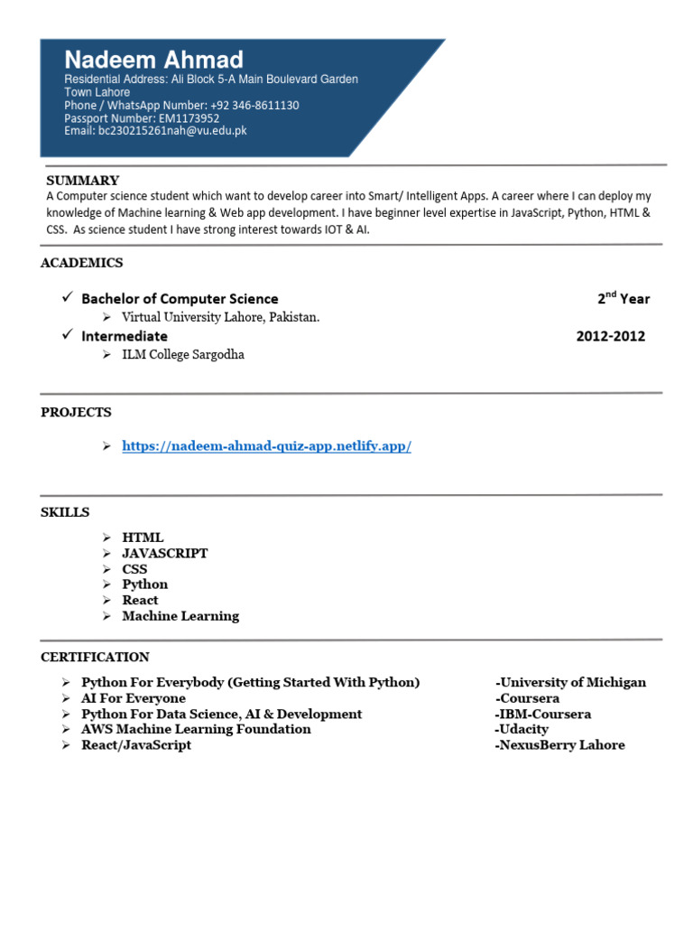 Computer Science Student Profile | PDF | Computing | Cyberspace