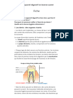 Un appareil digestif en bonne santé - Assistance scolaire personnalisée et gratuite - ASP