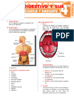 Aparato Digestivo y Sus Partes