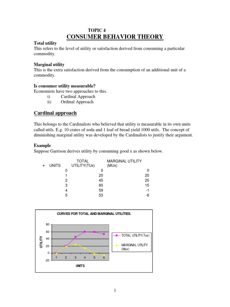 Consumer Behavior Theory Explained | PDF | Utility | Economies