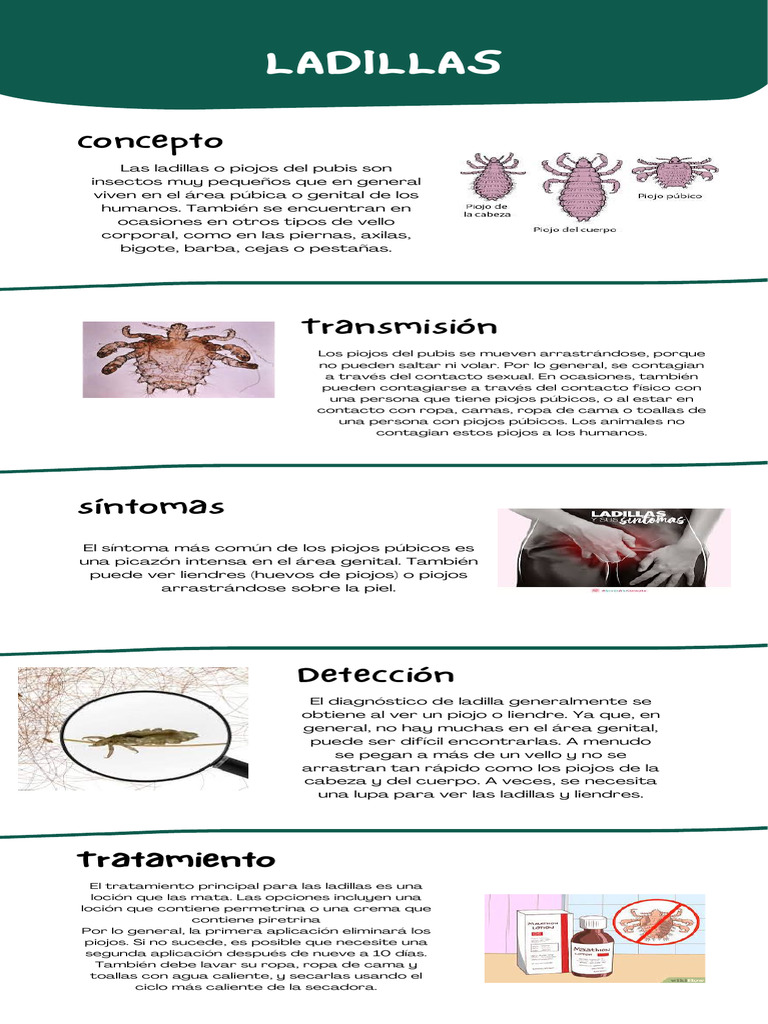 LADILLAS | PDF