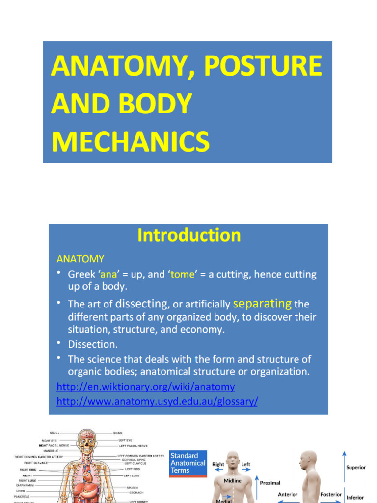 body-mechanics-pdf