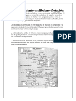 Procesamiento Moly