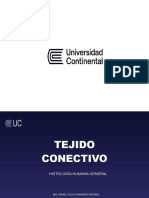 3. Tejido Conjuntivo (2)