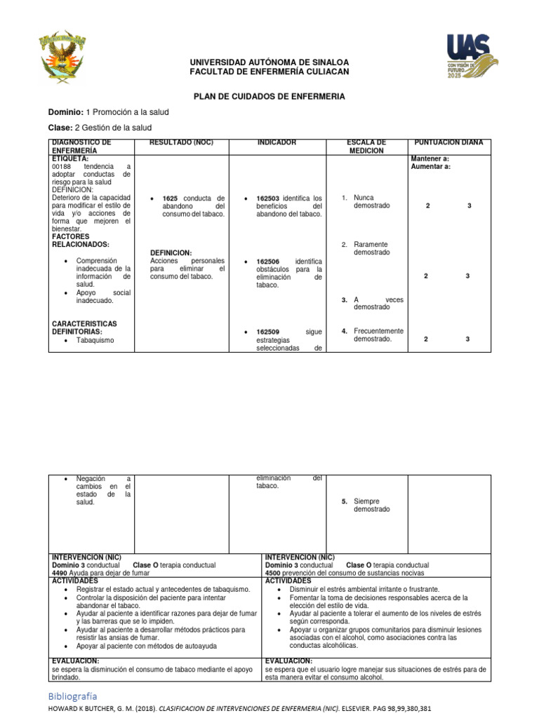 Plan de Cuidados en Promoción de Salud | PDF | Comportamiento ...