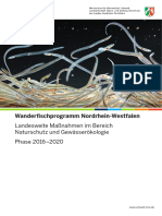 Wanderfischprogramm NRW Phase 2016 2020