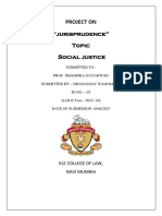 Jurisprudence Project