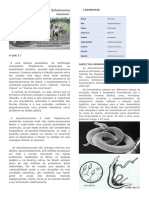 Esquistossomose. PDF. (1)