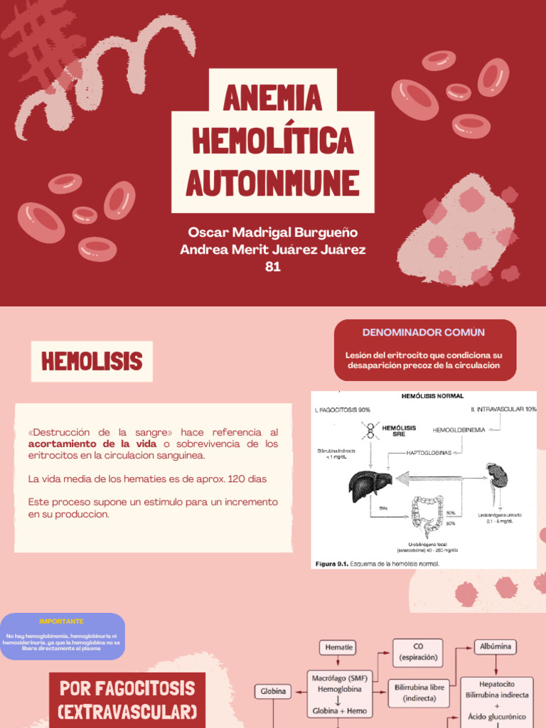 Anemia Hemolítica Autoinmune | PDF | Glóbulo rojo | Anemia