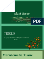 Lesson-3-Plants-Tissue (1)