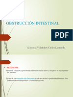 Obstrucción Intestinal