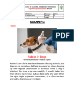 Atividade Avaliativa Canine Rabies