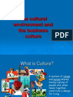 The Cultural Environment and The Business Culture