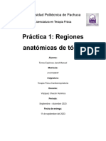 Practica 1 Regiones Anatómicas de Tórax