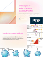 Introducao Ao Metabolismo de Macronutrientes