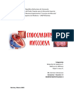 Endocarditis Infecciosa Informe
