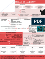 Infograma Aujeszky