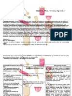 PROVINCIA DE BUENOS AIRES. TALLER COCINA nuevo