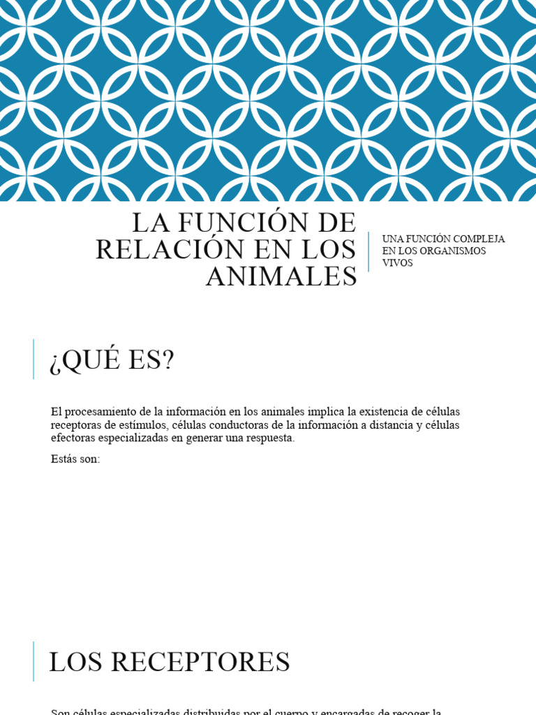 Función de Relación en Animales | PDF | Sistema nervioso | Sentidos