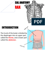 Döş Topografi