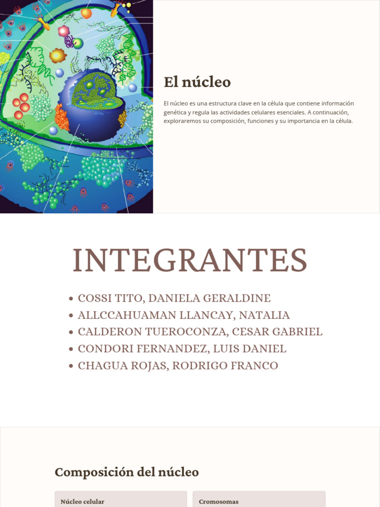 El Núcleo Pdf Cromatina Nucleo Celular