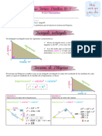 7 GUIA TEORICA PRACTICA TEOREMA PITAGORAS